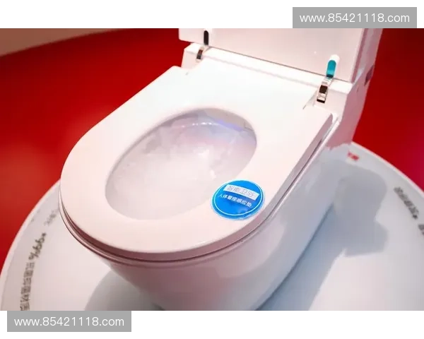 乐家智能马桶引领智能卫浴新潮流 打造舒适健康的卫浴体验 乐家智能马桶引领智能卫浴新潮流 打造舒适健康的卫浴体验