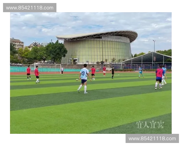 聚焦绿茵赛场深度解析当代足球联赛核心球员成长与竞技之路 聚焦绿茵赛场深度解析当代足球联赛核心球员成长与竞技之路